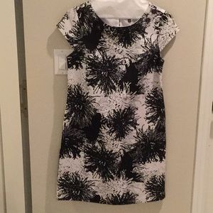 Talbots Black and White Lined Dress Size 10